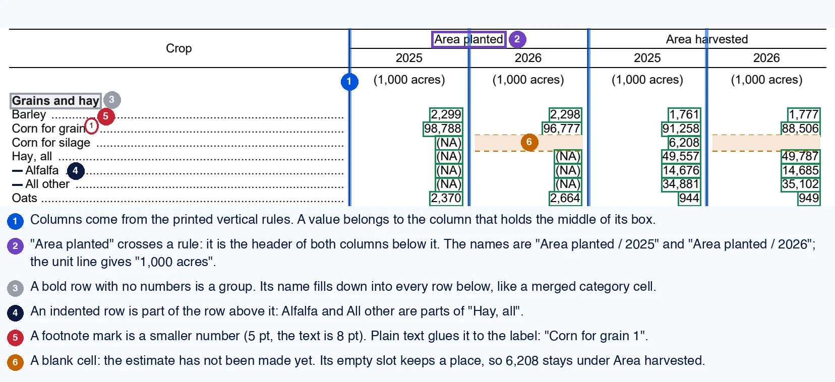 The top of page 25 of the report, with marks. Blue bands mark the four vertical rules between the columns, badge 1. A purple frame marks the header Area planted, which crosses the rule between 2025 and 2026, badge 2. A grey frame marks the bold group row Grains and hay, badge 3. Dashes mark the indented rows Alfalfa and All other under Hay, all, badge 4. A red circle marks the small footnote mark 1 after Corn for grain, badge 5. An orange dashed slot marks the empty cells of Corn for silage under 2026, badge 6. Green boxes surround every value that the reader found.
